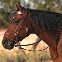 Bitless Bridles category thumbnail