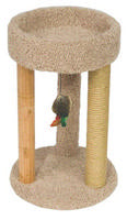 Cat Furniture & Scratchers category thumbnail